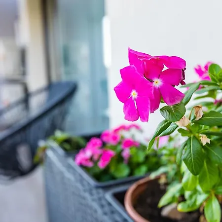 пасажио Apartment