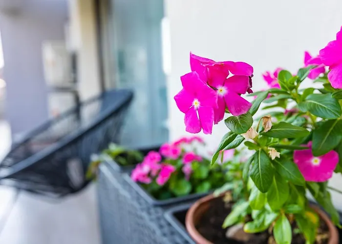 пасажио Апартамент